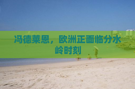 冯德莱恩，欧洲正面临分水岭时刻
