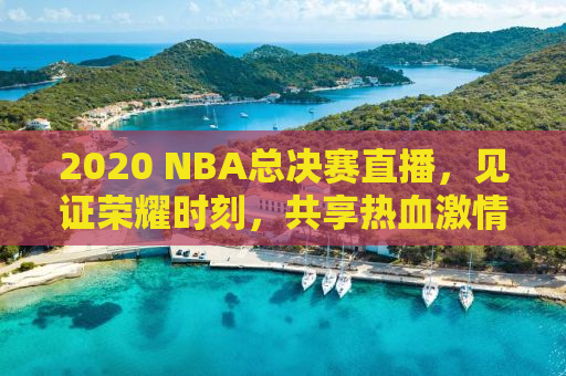 2020 NBA总决赛直播，见证荣耀时刻，共享热血激情！