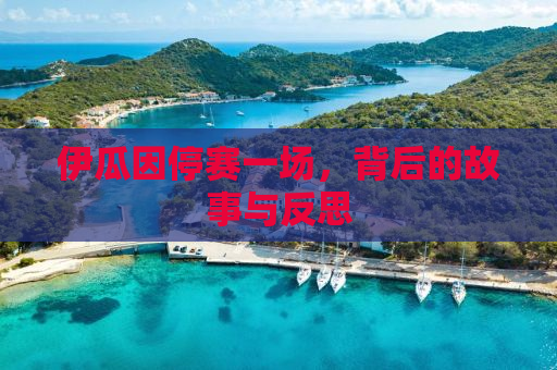 伊瓜因停赛一场，背后的故事与反思