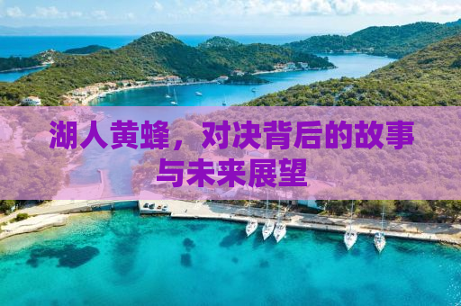 湖人黄蜂，对决背后的故事与未来展望