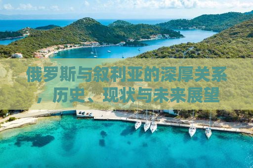 俄罗斯与叙利亚的深厚关系，历史、现状与未来展望