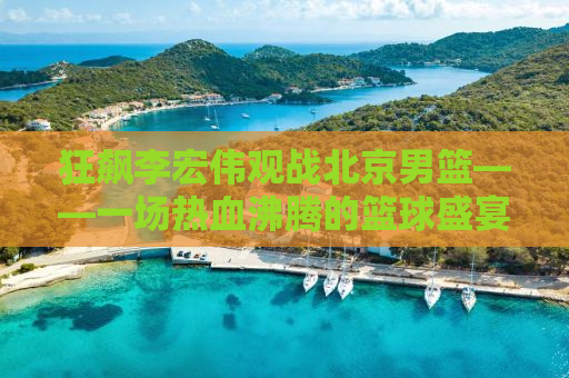 狂飙李宏伟观战北京男篮——一场热血沸腾的篮球盛宴