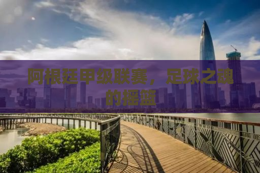 阿根廷甲级联赛，足球之魂的摇篮