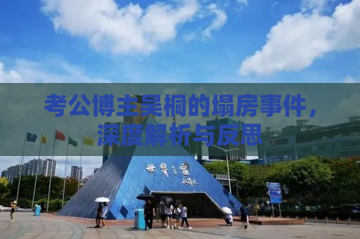考公博主吴桐的塌房事件，深度解析与反思