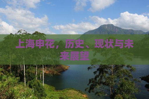 上海申花，历史、现状与未来展望