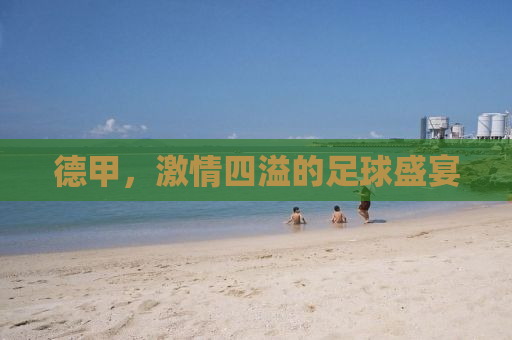 德甲，激情四溢的足球盛宴