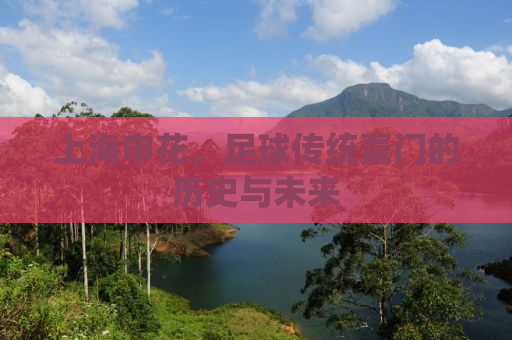 上海申花，足球传统豪门的历史与未来