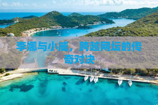 李娜与小威，跨越网坛的传奇对决