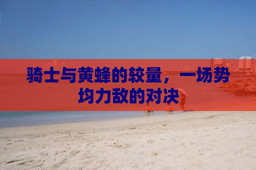 骑士与黄蜂的较量，一场势均力敌的对决