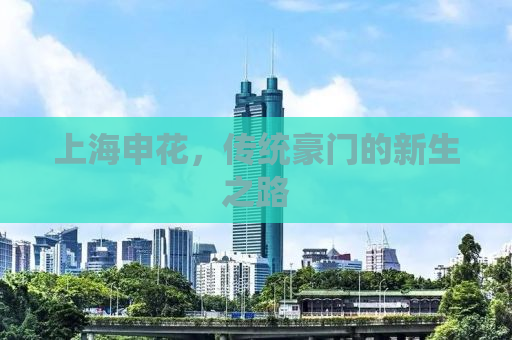 上海申花，传统豪门的新生之路