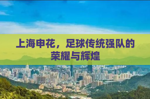 上海申花，足球传统强队的荣耀与辉煌