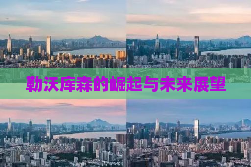 勒沃库森的崛起与未来展望