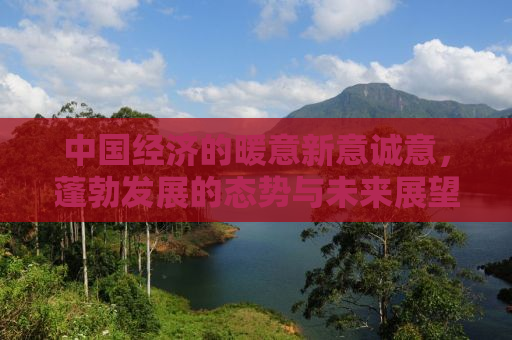 中国经济的暖意新意诚意，蓬勃发展的态势与未来展望
