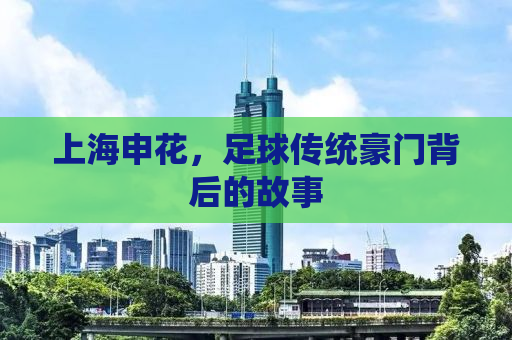 上海申花，足球传统豪门背后的故事