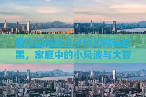 雷公回应被儿子川川微信拉黑，家庭中的小风波与大智慧