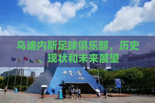 乌迪内斯足球俱乐部，历史、现状和未来展望