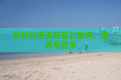 万斯对泽连斯基的批评，反思与启示