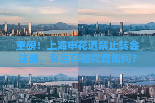 重磅！上海申花遭禁止转会注册，背后真相究竟如何？