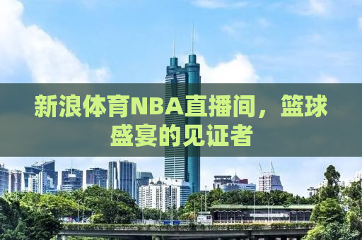 新浪体育NBA直播间，篮球盛宴的见证者