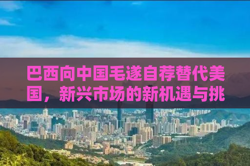 巴西向中国毛遂自荐替代美国，新兴市场的新机遇与挑战