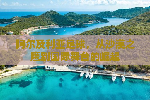 阿尔及利亚足球，从沙漠之鹰到国际舞台的崛起