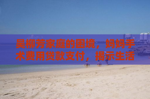 吴柳芳家庭的困境，妈妈手术费用贷款支付，揭示生活的另一面