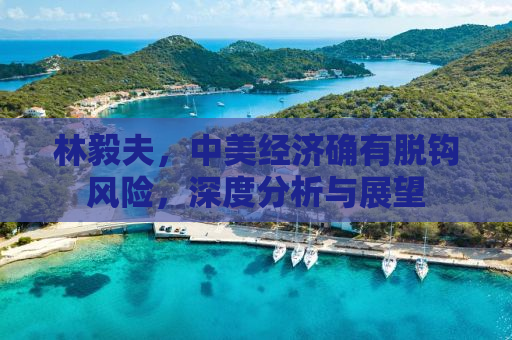 林毅夫，中美经济确有脱钩风险，深度分析与展望