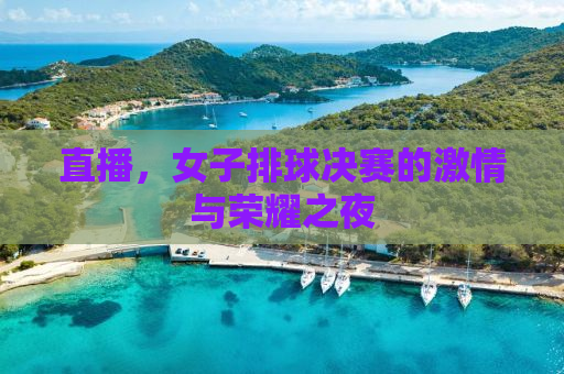 直播，女子排球决赛的激情与荣耀之夜