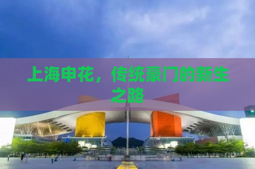 上海申花，传统豪门的新生之路