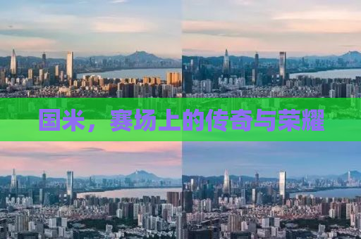 国米，赛场上的传奇与荣耀