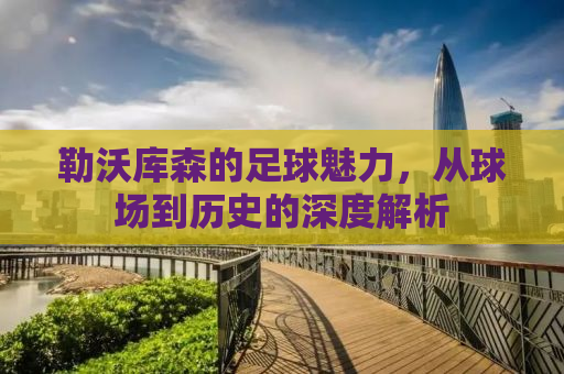 勒沃库森的足球魅力，从球场到历史的深度解析