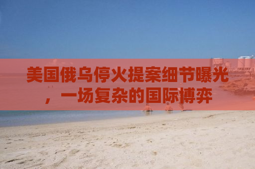 美国俄乌停火提案细节曝光，一场复杂的国际博弈