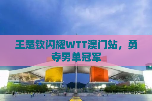 王楚钦闪耀WTT澳门站，勇夺男单冠军