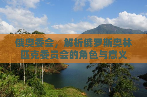 俄奥委会，解析俄罗斯奥林匹克委员会的角色与意义
