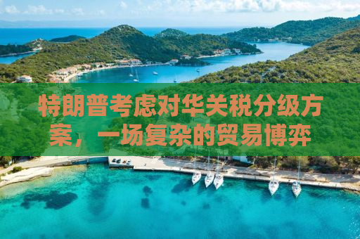 特朗普考虑对华关税分级方案，一场复杂的贸易博弈