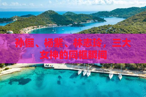 孙俪、杨紫、林志玲，三大女神的同框瞬间