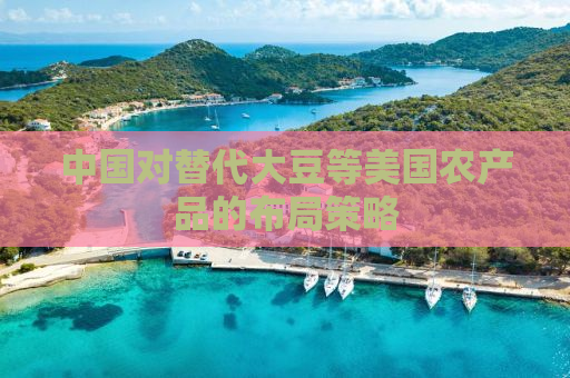 中国对替代大豆等美国农产品的布局策略