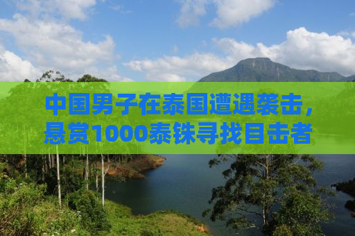 中国男子在泰国遭遇袭击，悬赏1000泰铢寻找目击者