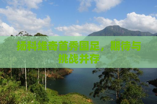 扬科维奇首秀国足，期待与挑战并存
