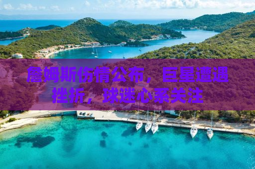 詹姆斯伤情公布，巨星遭遇挫折，球迷心系关注