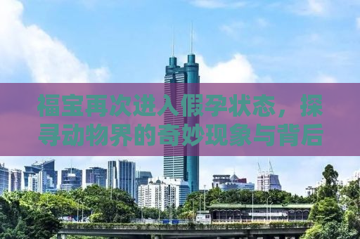 福宝再次进入假孕状态，探寻动物界的奇妙现象与背后原因
