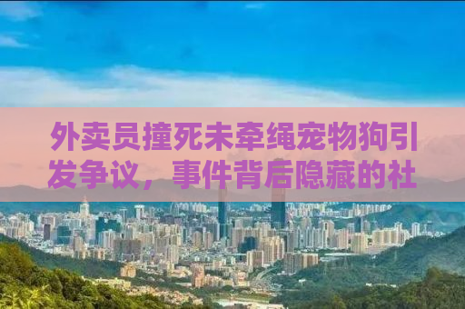 外卖员撞死未牵绳宠物狗引发争议，事件背后隐藏的社会问题亟待解决