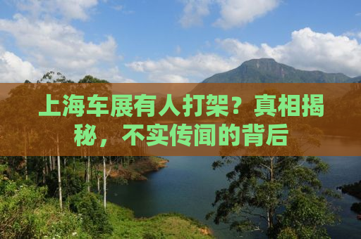 上海车展有人打架？真相揭秘，不实传闻的背后