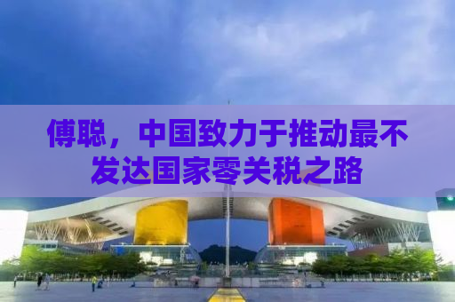 傅聪，中国致力于推动最不发达国家零关税之路
