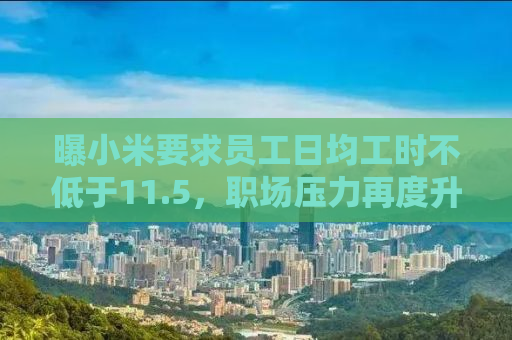 曝小米要求员工日均工时不低于11.5，职场压力再度升级，企业的追求与员工的付出之间的博弈