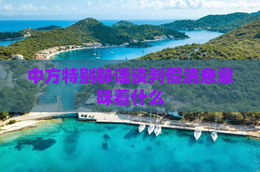 中方特别辟谣谈判假消息意味着什么