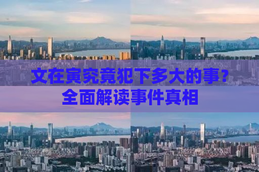 文在寅究竟犯下多大的事？全面解读事件真相