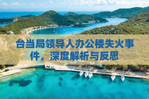 台当局领导人办公楼失火事件，深度解析与反思