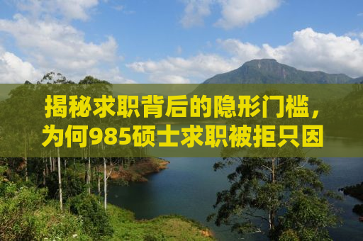 揭秘求职背后的隐形门槛，为何985硕士求职被拒只因本科双非学历？
