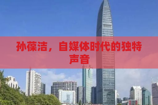 孙葆洁，自媒体时代的独特声音